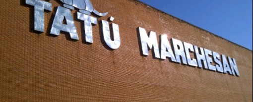 TATU Marchesan e GIOVANIBRUNO Corretora de Seguros