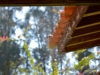 DSC7579